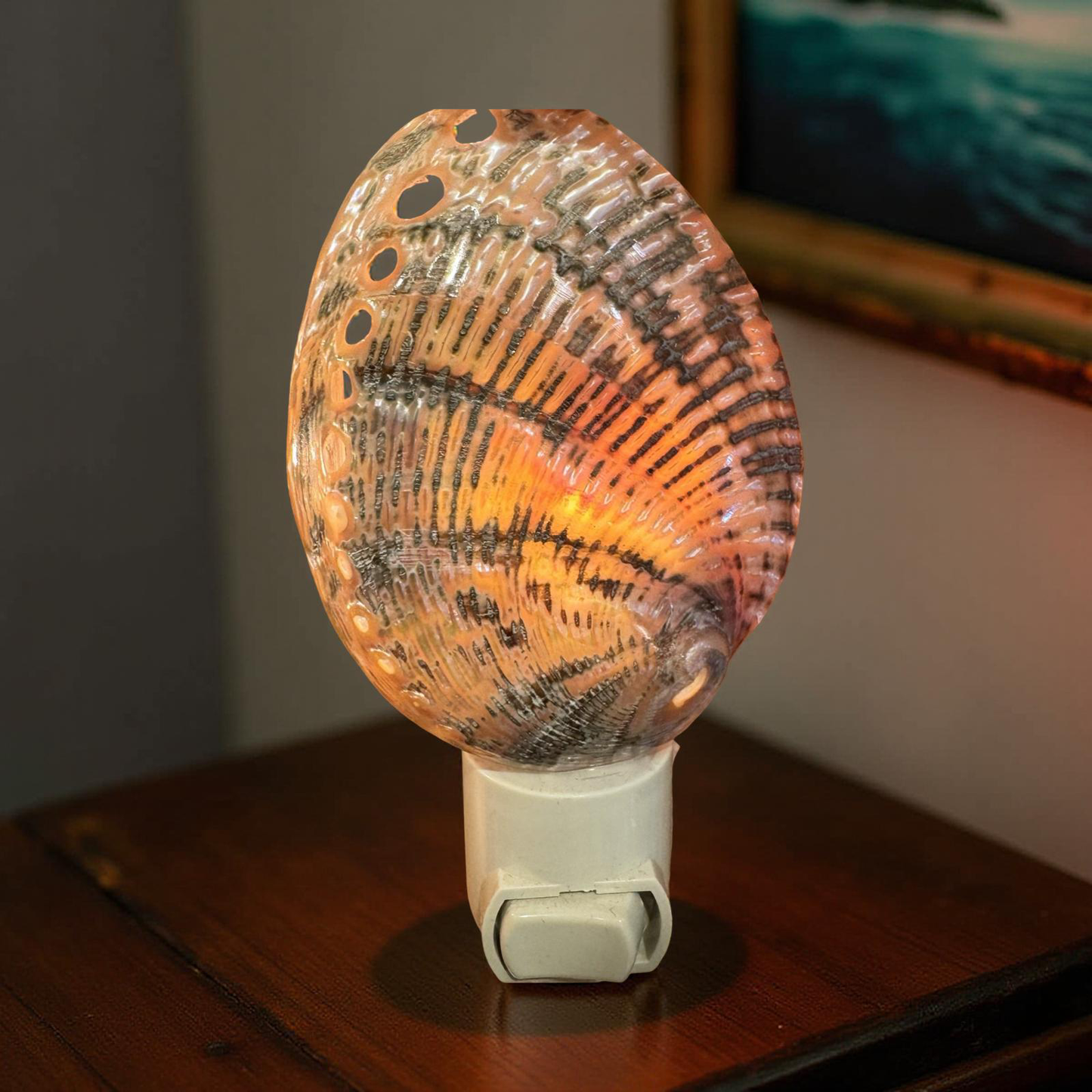 Abalone Shell Nightlight