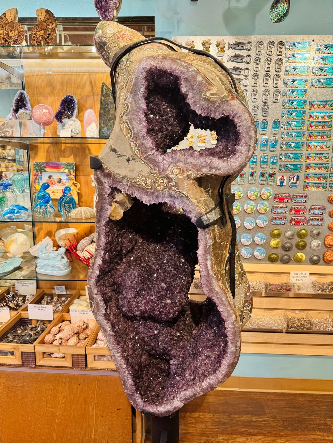 From Lava to Luxury: The Fascinating Formation of Amethyst Geodes