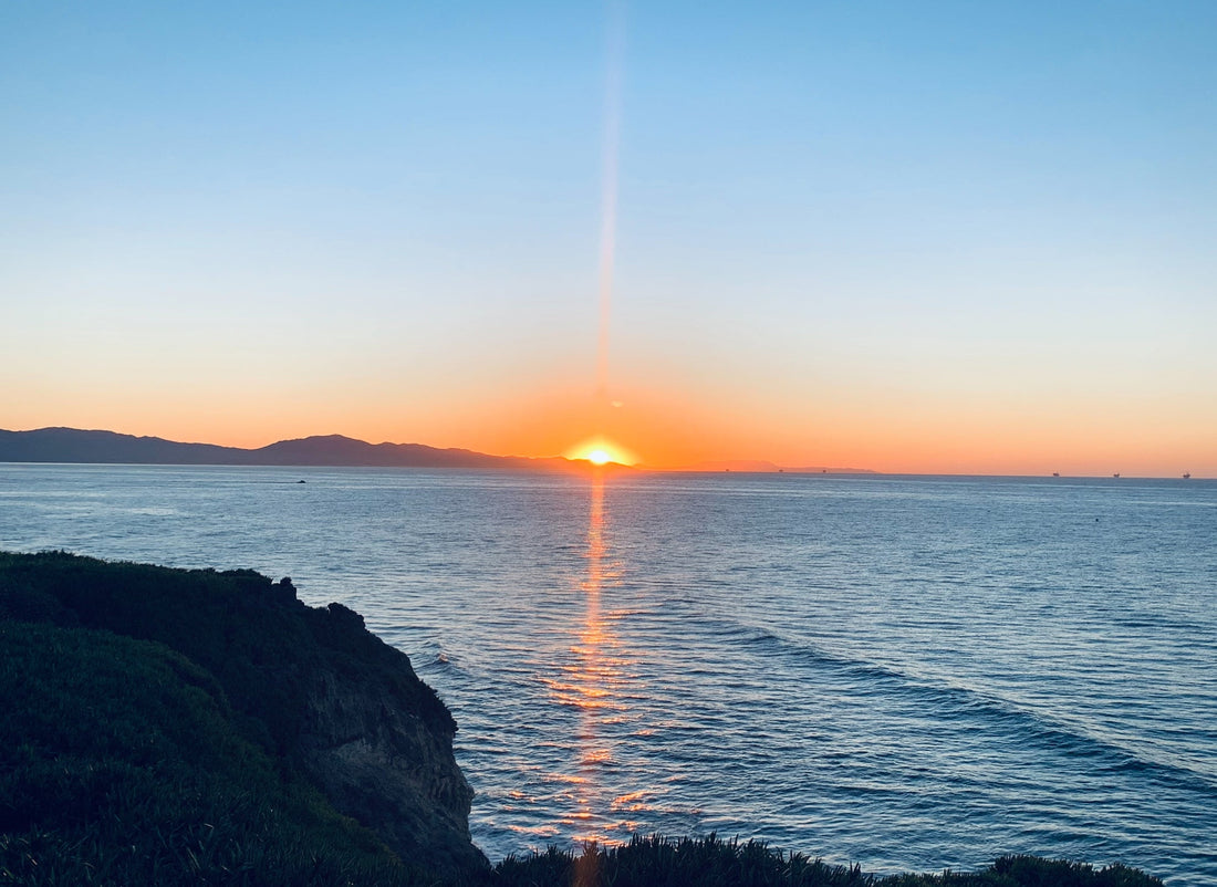 The Day Everything Changed: What a Brain Aneurysm Taught Me About Beauty, Breath, and Living Fully