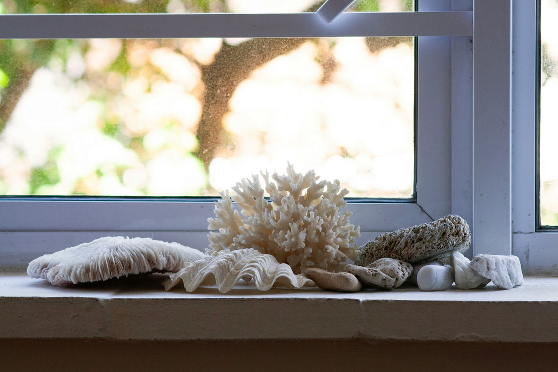 Spring Decor Trends 2025: Bringing Nature Indoors