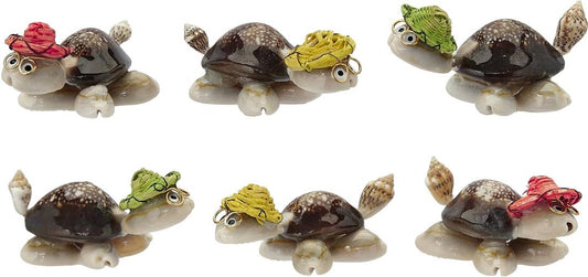 Cowry Turtle w/ Multi-Colored Hat