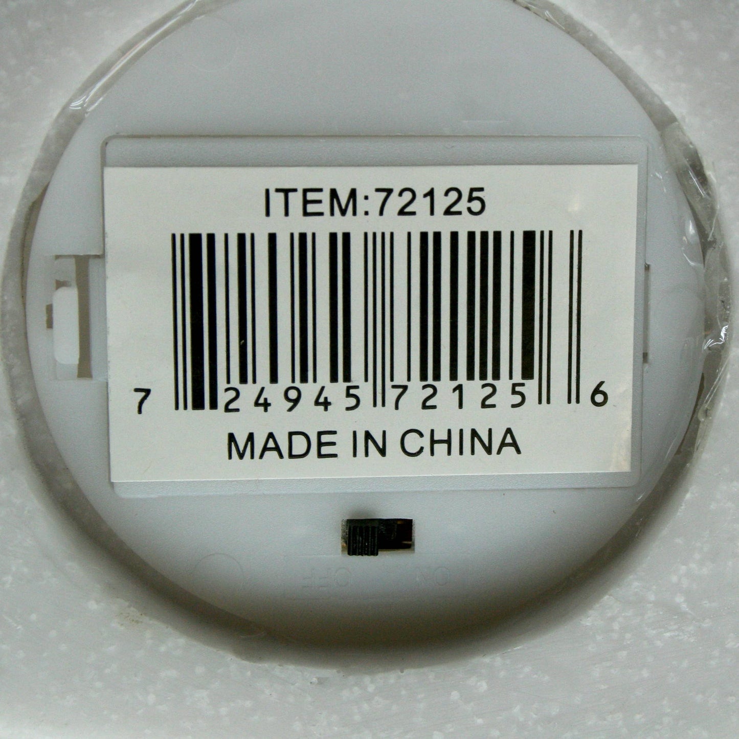 Sandstone Urchin Light Box - Soft Warm Light