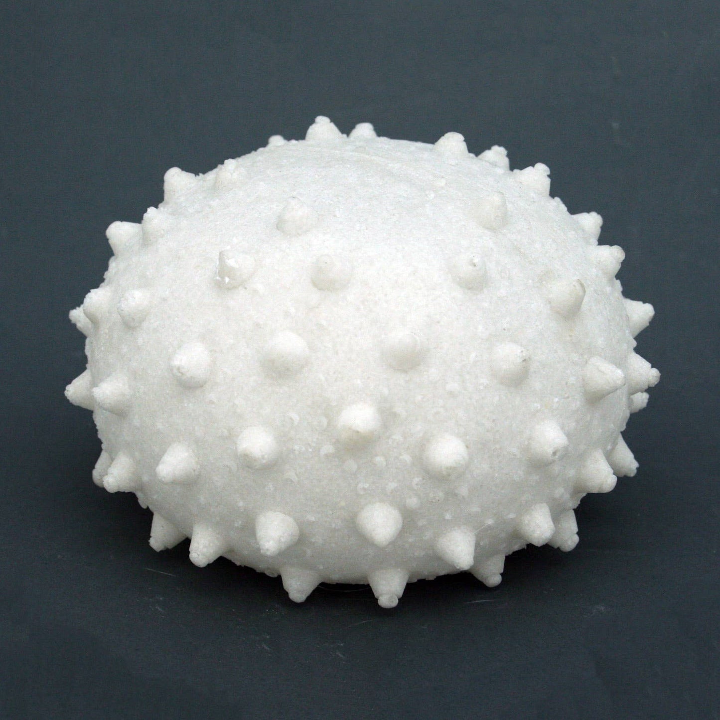 Sandstone Urchin Light Box - Soft Warm Light