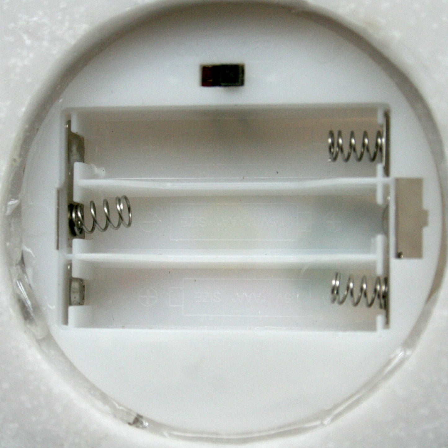 Sandstone Urchin Light Box - Soft Warm Light