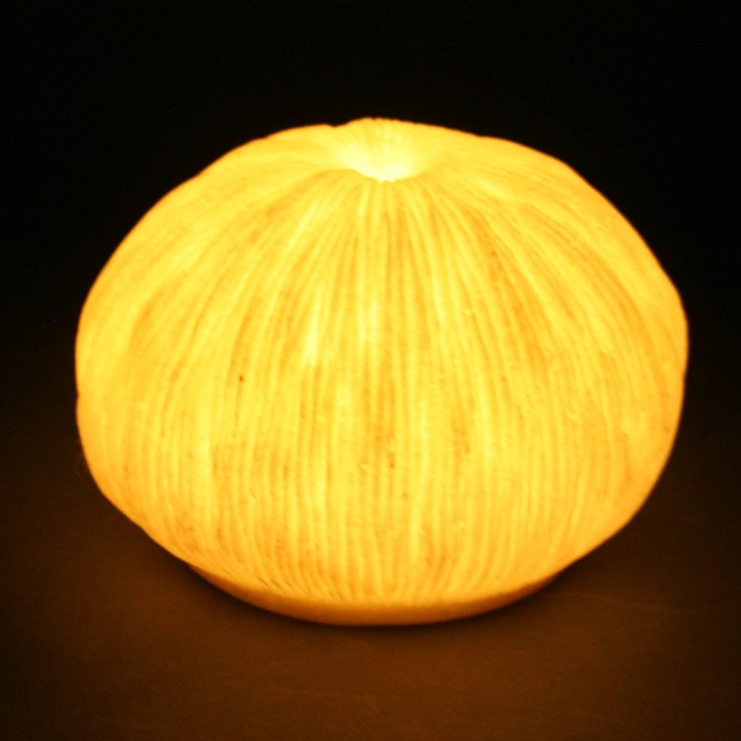 Sandstone Mushroom Coral Light Box - Soft Warm Light
