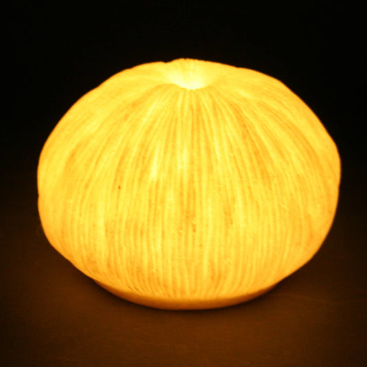 Sandstone Mushroom Coral Light Box - Soft Warm Light