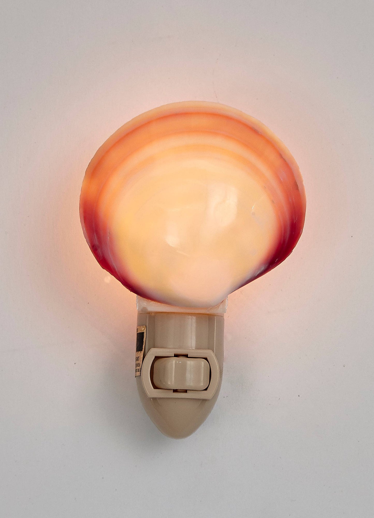 Polished Tiger Clam LED Night Light