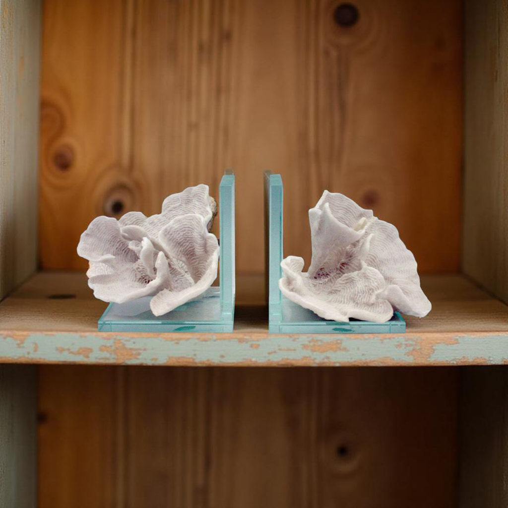 White Ripple Montipora Coral Bookends Set of 2