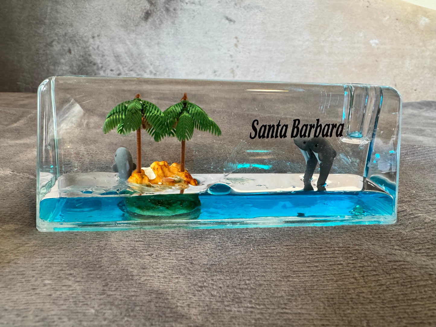 Santa Barbara Dolphin 3D Liquid Paperweight
