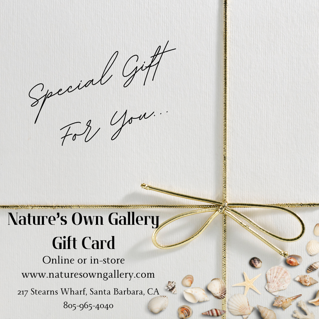 Nature’s Own Gallery Gift Cards