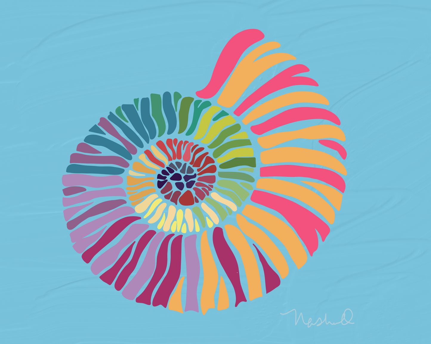 Nautilus Shell Wall Art on canvas 16x20