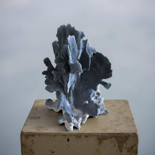 Authentic Solomon Islands Blue Coral – 11” Natural Ocean Sculpture