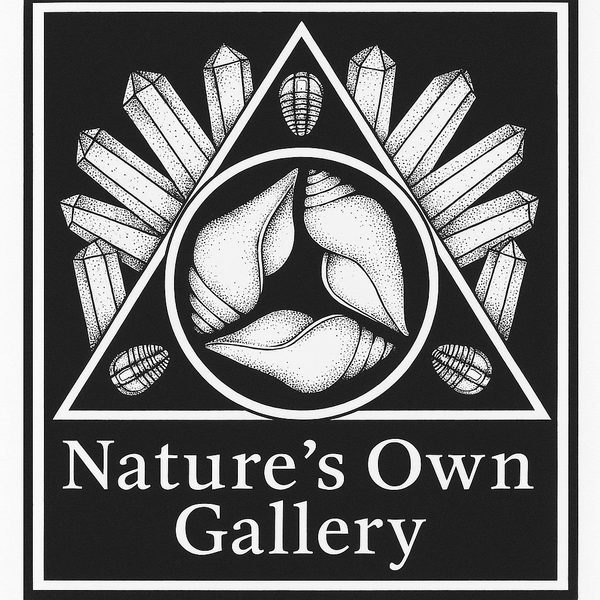 Nature’s Own Gallery