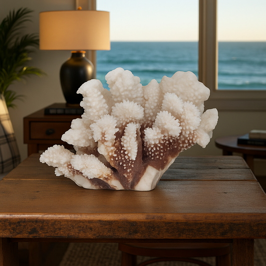 🟤 BROWN-STEM STONY CORAL (Approx. 6”)