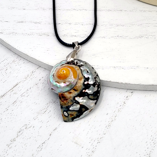 Zebra Mother of Pearl Nautilus Shell Pendant Necklace