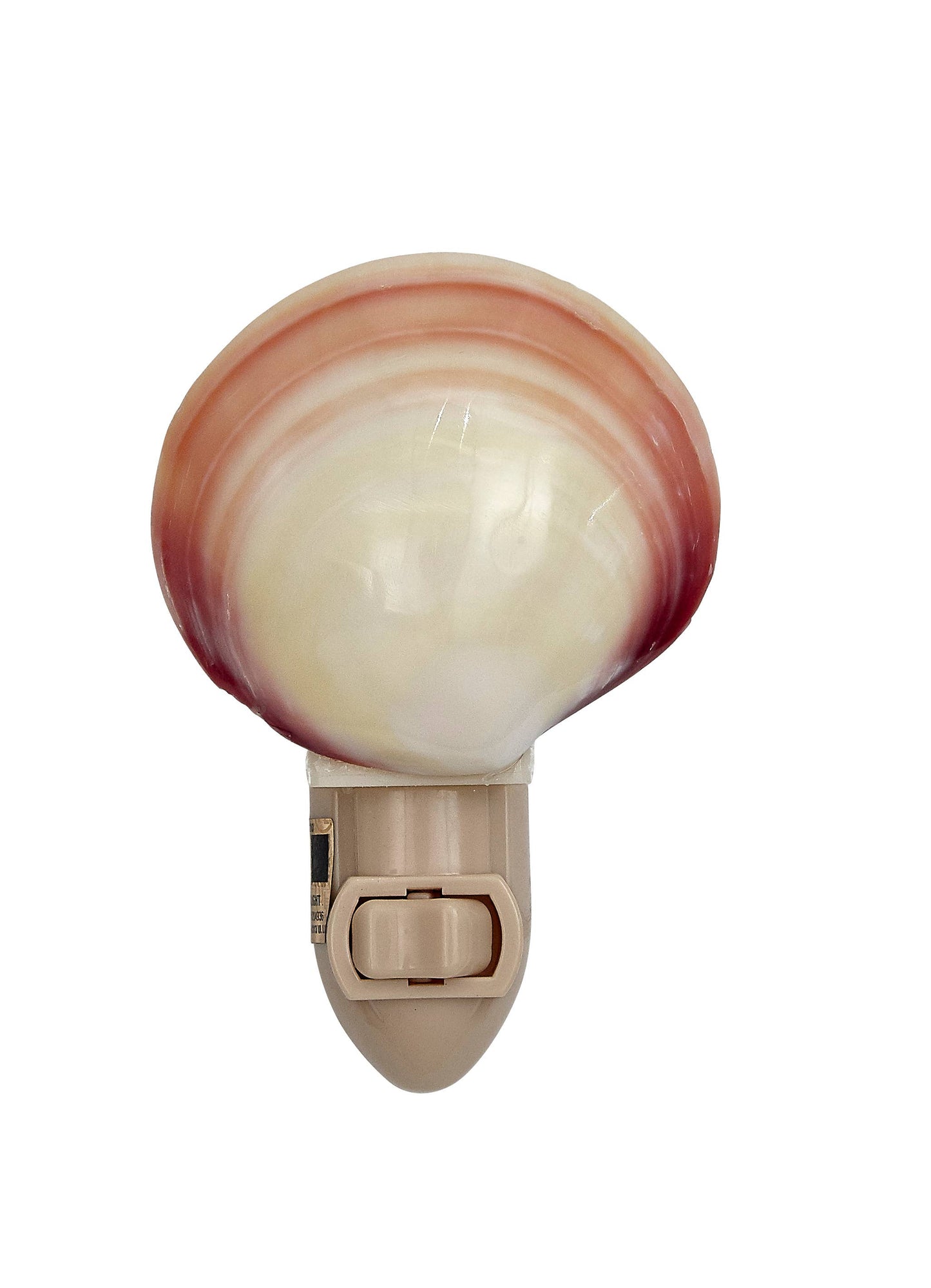 Polished Tiger Clam LED Night Light