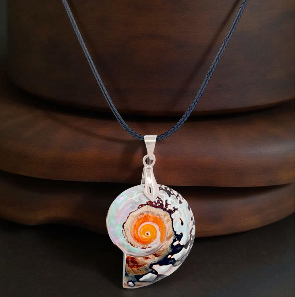 Zebra Mother of Pearl Nautilus Shell Pendant Necklace